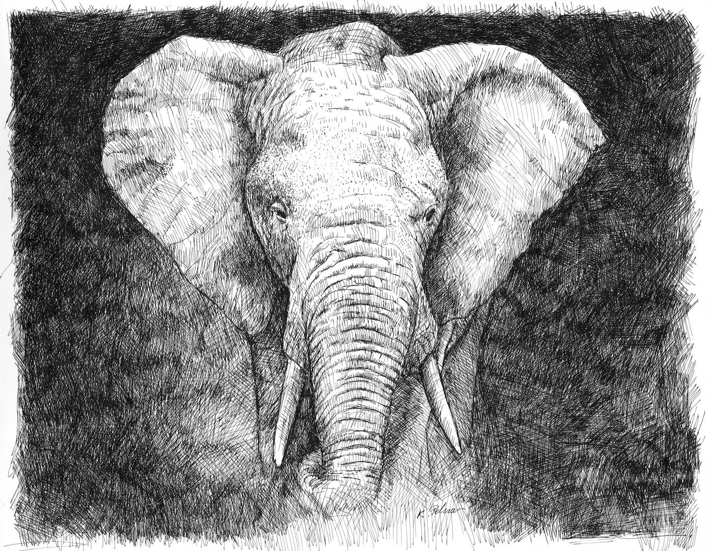 Print of Drawing Elephant