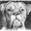 Thumbnail: Drawing of Boxer