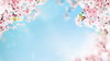 prin-kirakira-acrylic-stand-sotsuen-top-page_edited.jpg