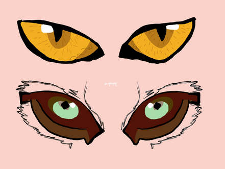 Marvellous eyes in nature !!!