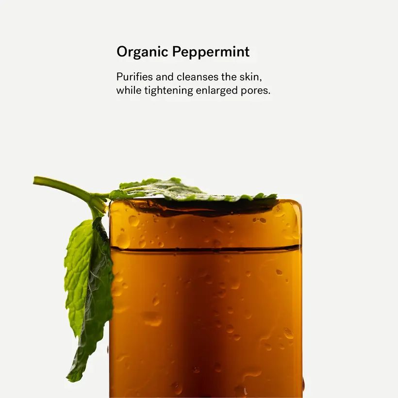 22 - Hydrolate Organic Peppermint - Typology Review 