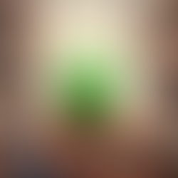 examples of fixed expenses