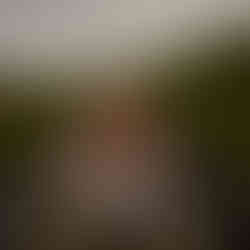 A little girl in a strawberry field clipping fresh strawberries at Bedner’s farm in Florida