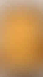 Orange and white cheese slices on top of salsa covered chicken in a white rectangular baking dish on a white countertop
