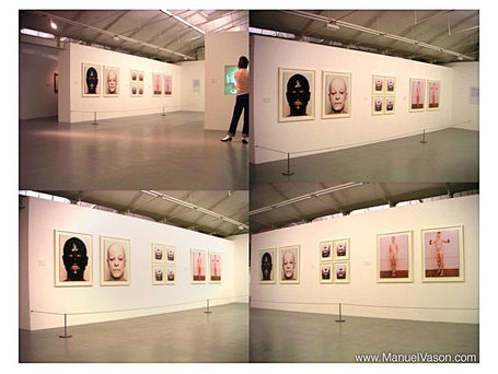 Art, Lies and Videotape: Exposing Performance, Tate Liverpool [2003-2004]