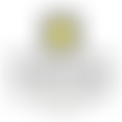 DOUBLE EXPOSURES LAUNCH – COMPASS FESTIVAL OF LIVE ART