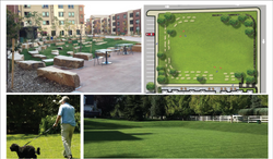 Residential Lawn