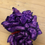 Thumbnail: SCRUNCHIES