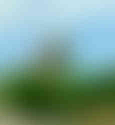 Roebling Bridge, Cincinnati