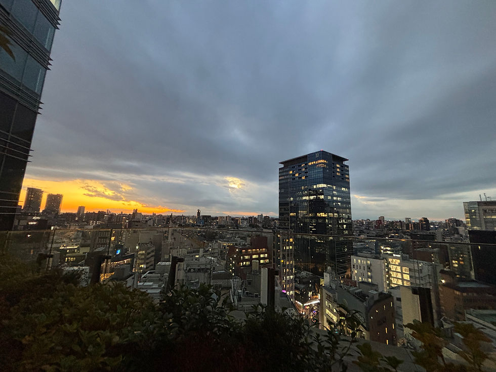 Tokyo Part 1: Visiting The Big Mikan