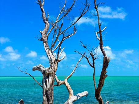 Florida Keys Part 6: Road Trip to Key West