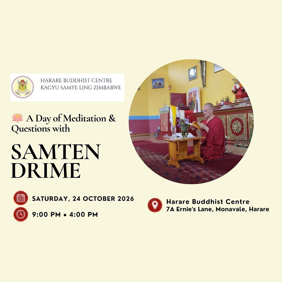 A Day of Meditation & Questions With Samten Drime