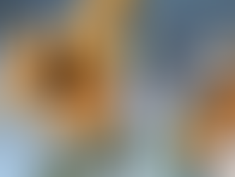 Sitting With the Reality of Death: Impermanence and My First Meditation Retreat Experience (Part 2)