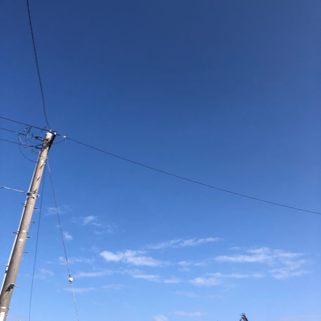 稽古を再開しました