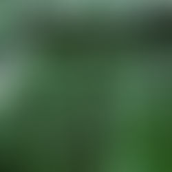 会費について(2023年10月更新)