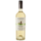 Morandé Pionero Sauvighon Blanc