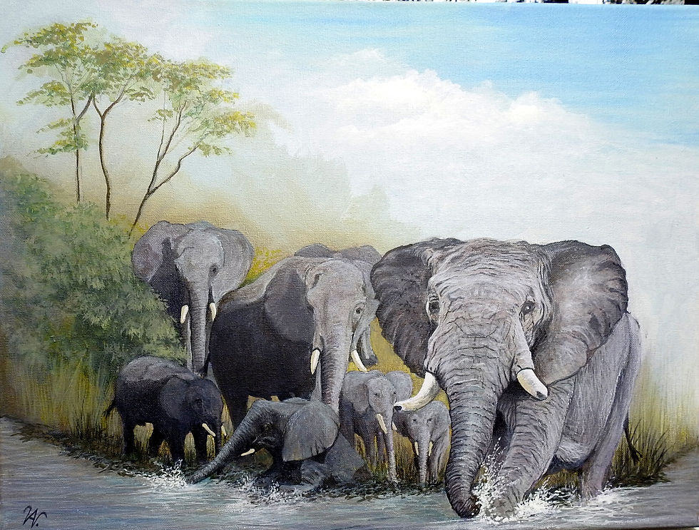 32 -B-CHOBY RIVER BOTSWANA