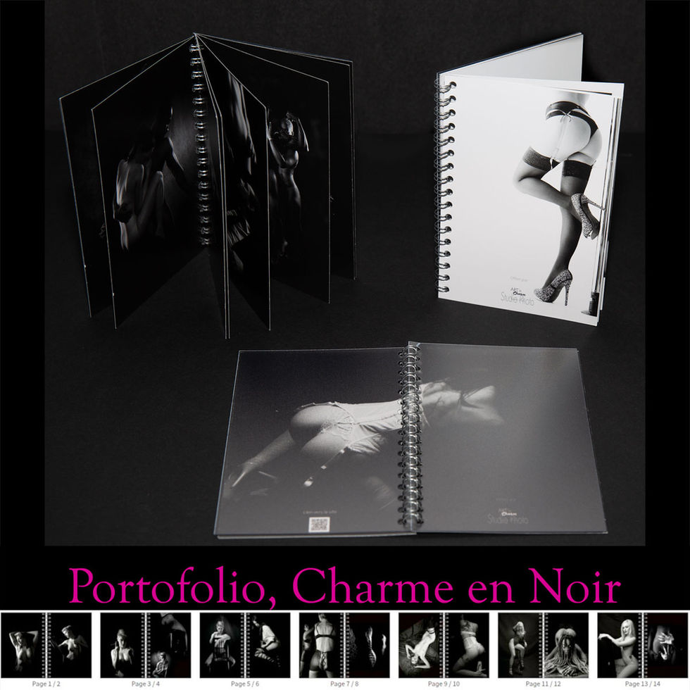 presentation Portofolio charm noir