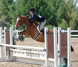 Berylyn Tamarak, large pony hunter