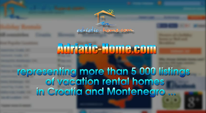 Video promotion of the website