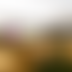 Why Location Matters: Choosing the Right Convention Center in Chennai