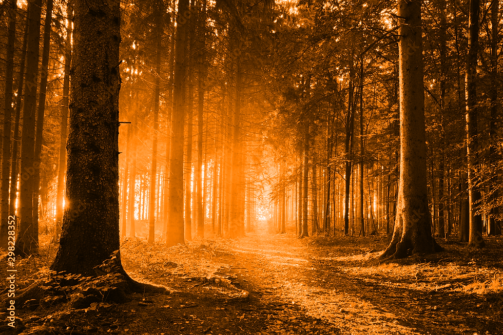 AdobeStock_298228352_Preview_B.png