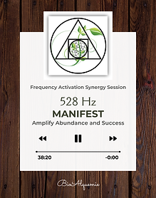 Optimus 528Hz Sales Edition Manifest SS (2).png