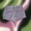 Μικρογραφία: Denim Shorts