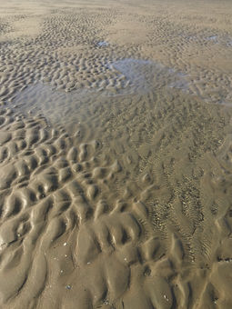 IMG_7563.jpeg