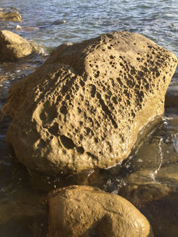 IMG_7141.jpeg