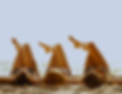 beach little corn island (1).png