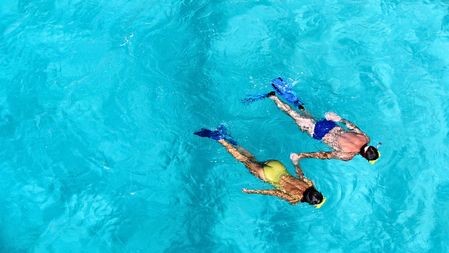 little corn island snorkeling.png