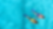 little corn island snorkeling.png