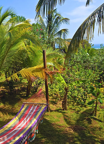 private hammock cabana at the lighthouse retreat on little corn island