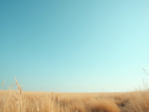 Yetkin Birey ile Profesyonel Danışmanlık Hizmetleri