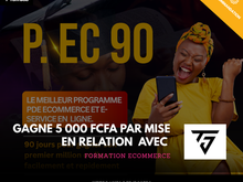 Programme E-commerce Pro
