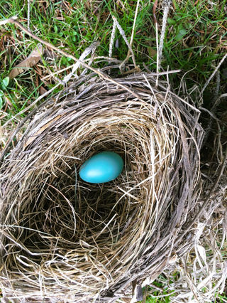 IMG_6251(2) conv.jpeg