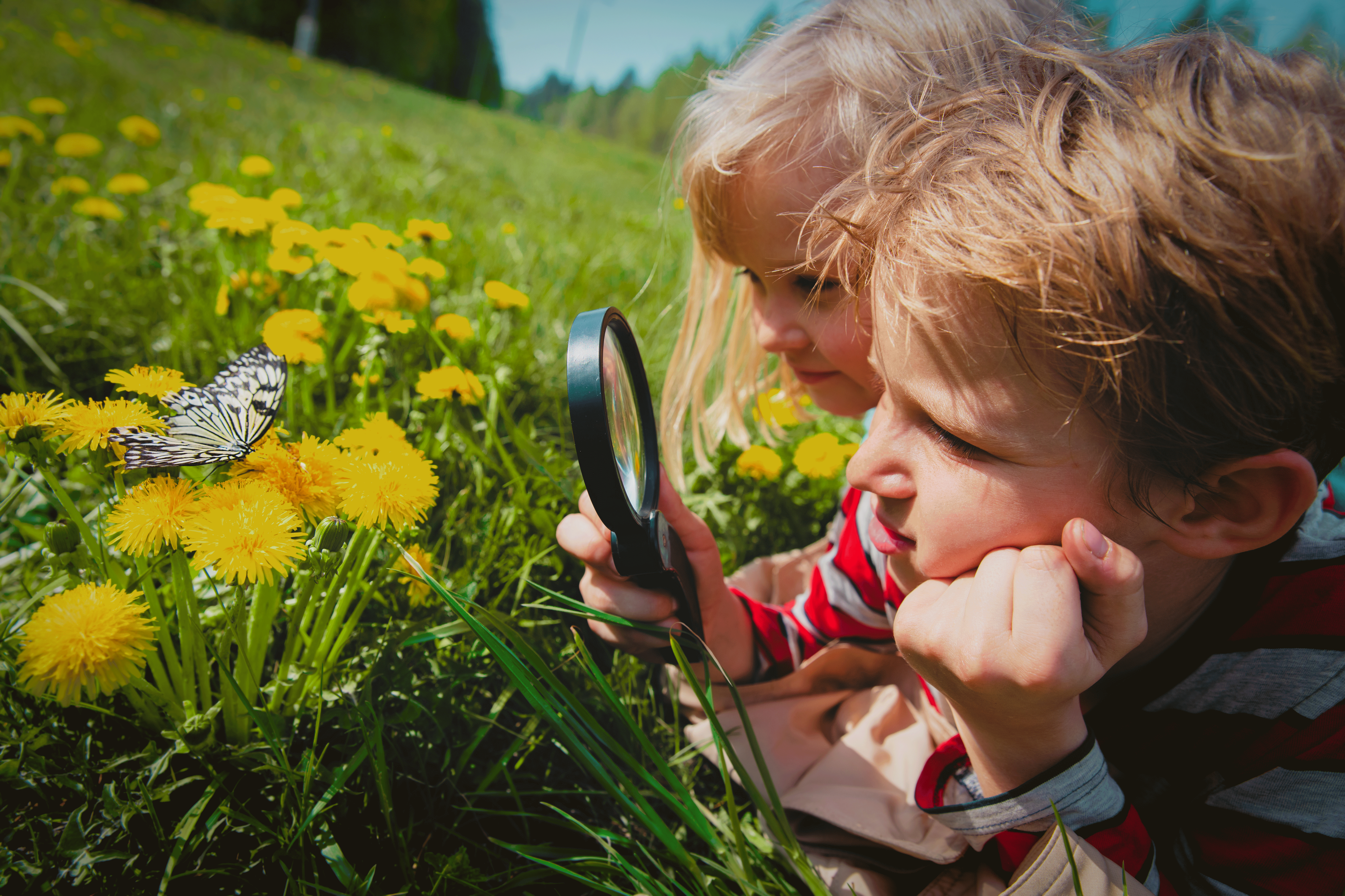 kids-boyandgirl-lookingatbutterfykidslearningnatureAdobeStock-HUE-EDITED