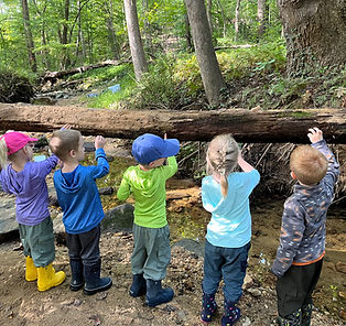 children examining log - edited IMG_4282.jpg