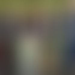 Március 15.: a Széchenyi István Egyetem több munkatársa kapott állami kitüntetést a nemzeti ünnepen