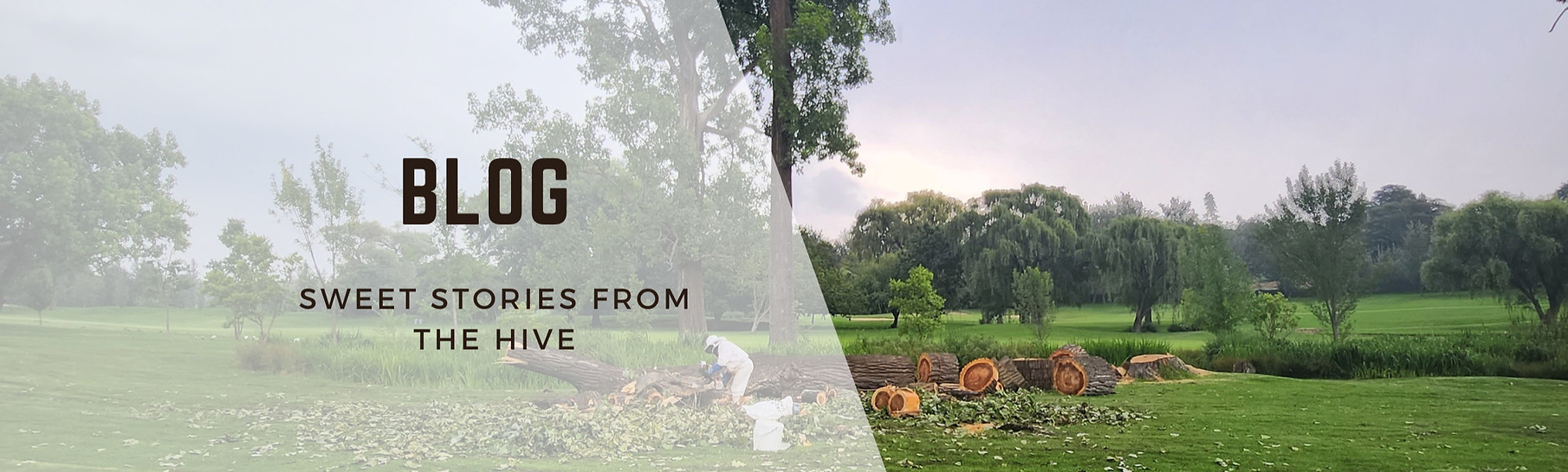 Blog Banner for Website Content (16)_edi