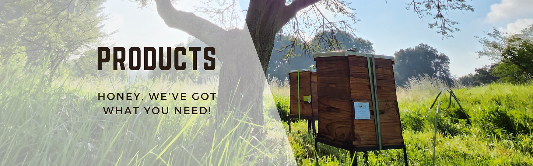 Blog Banner for Website Content (12).png