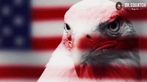 giphy (89).gif