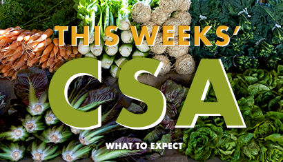 Wednesday, March 15th CSA supplies