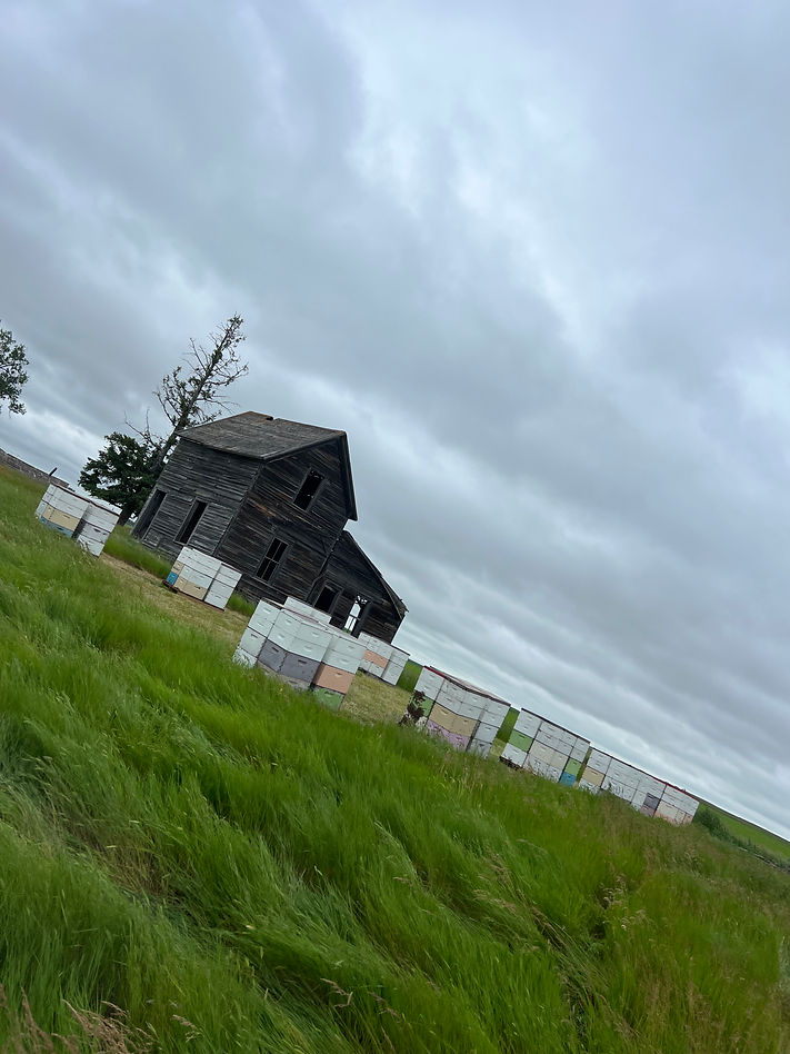 multiple pallets of bee boxes stacked in front of an old wooden barn