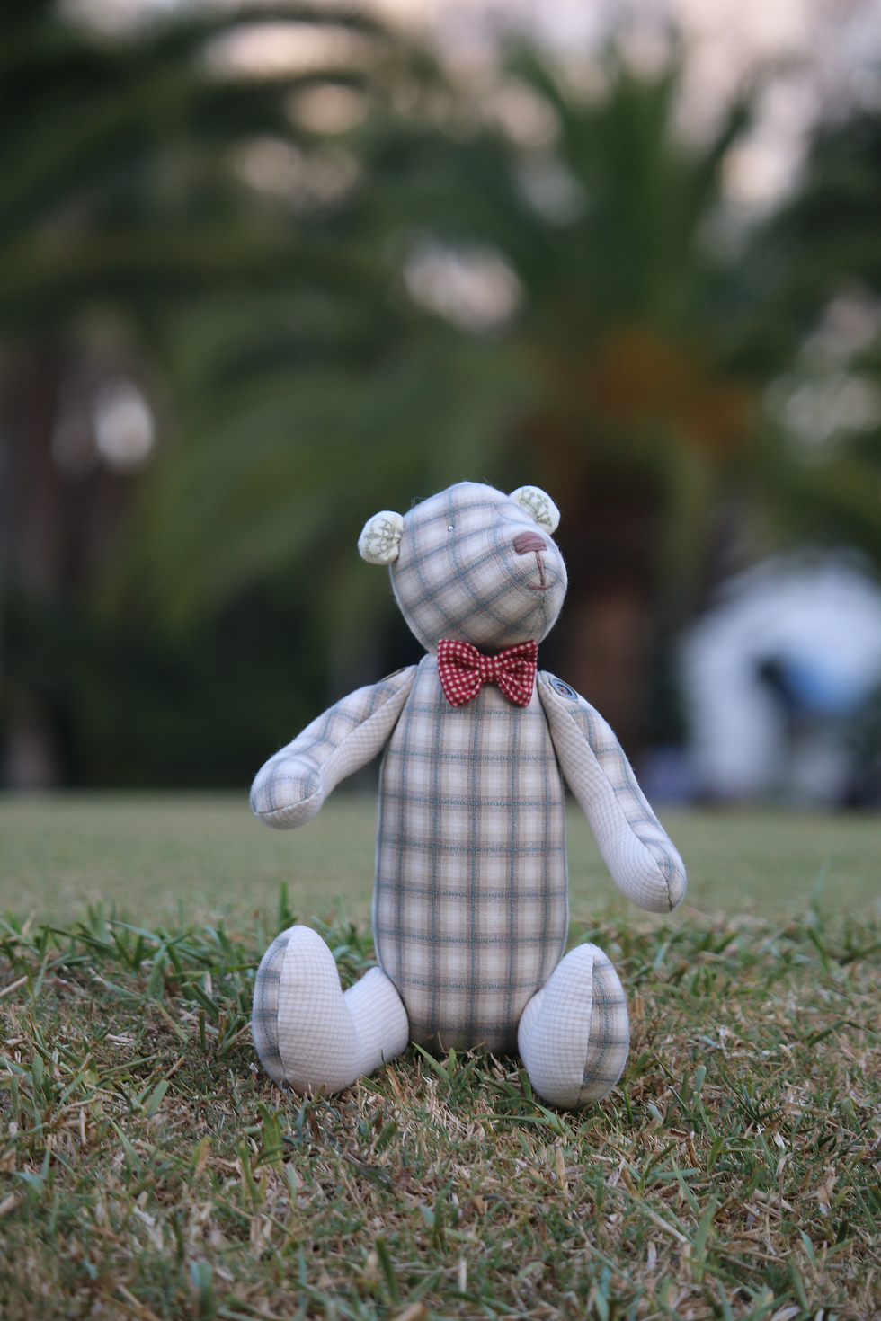 Миниатюра: Teddy Tailor Bear (in Miami)