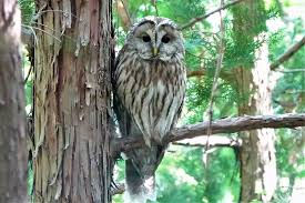 不思議な体験ー２