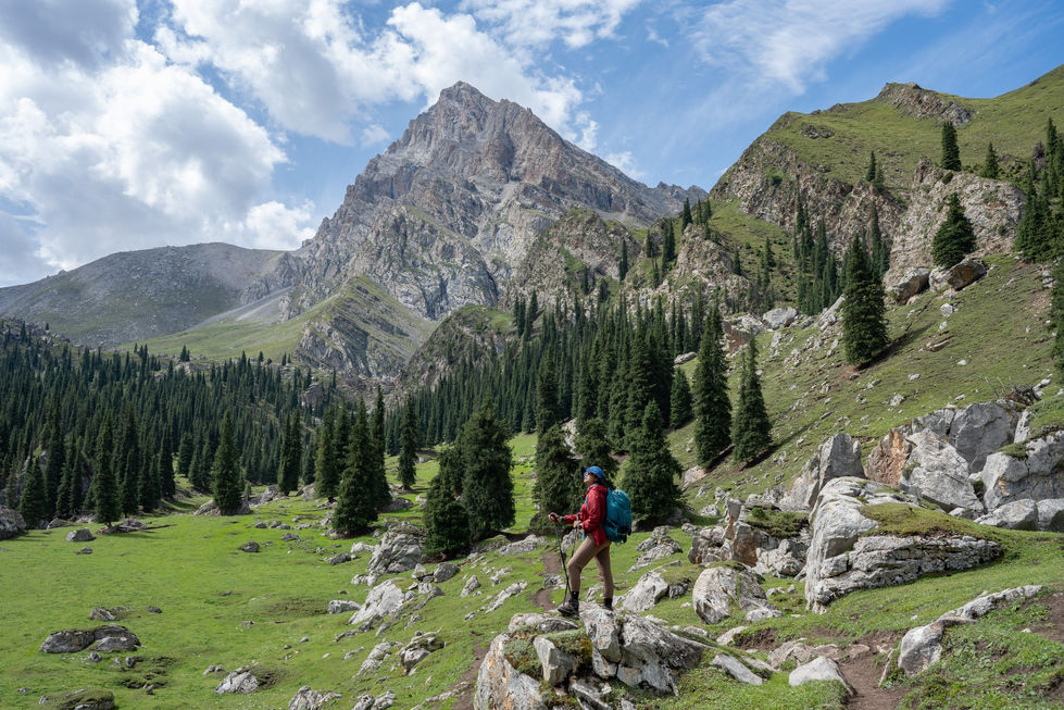 492829976_1566997660882122_987288031146987499_n