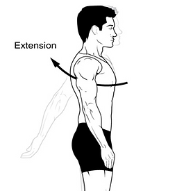 Flexion & Extension | basichumanmotion