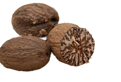 th-1255207716_edited.png